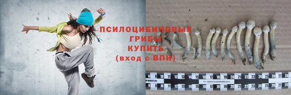 мдпв Богданович