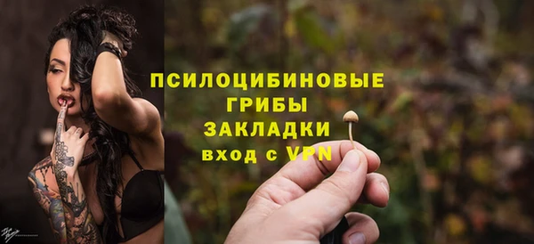 мдпв Богданович