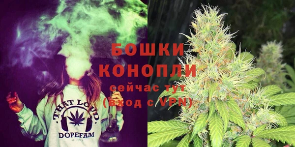 мдпв Богданович