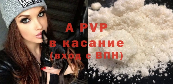 крисы Корсаков