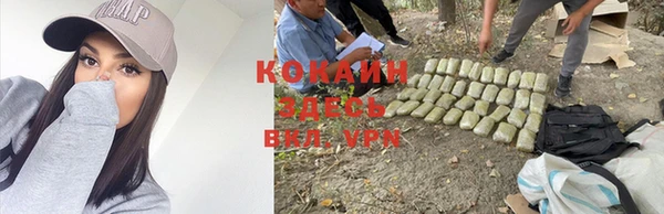 прущие крисы Гусев